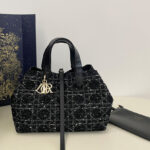 Christian Dior Medium Dior Toujours Bag Black